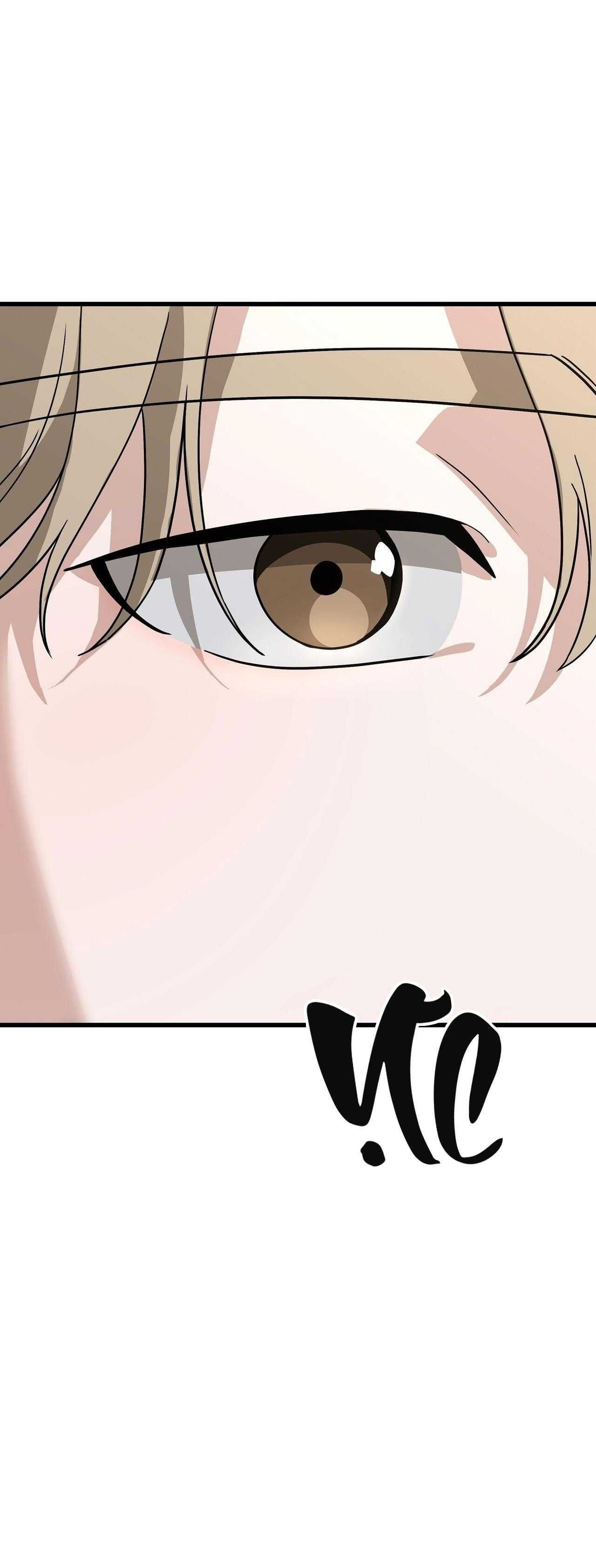 đọc truyện Hợp Đồng Kẹo Ngọt Chương 43 ảnh 13 tại Thiên Thai Truyện