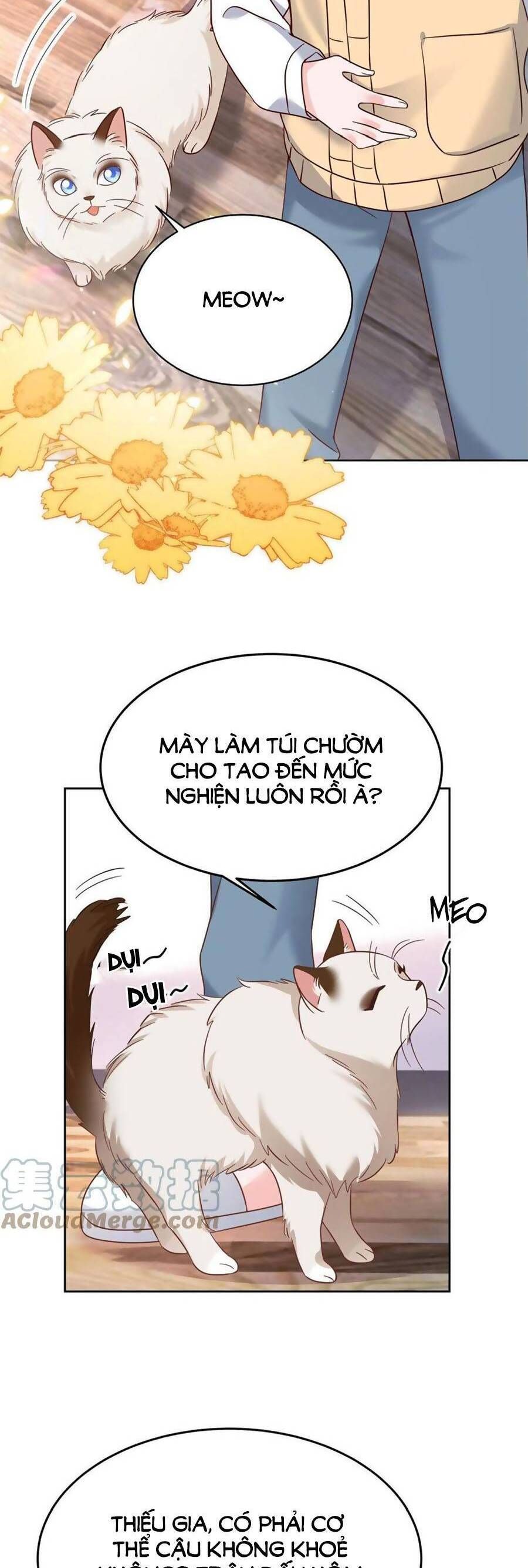 đọc truyện Hotboy Quốc Dân Là Nữ Chương 310 ảnh 4 tại Truyện Dạ Ký