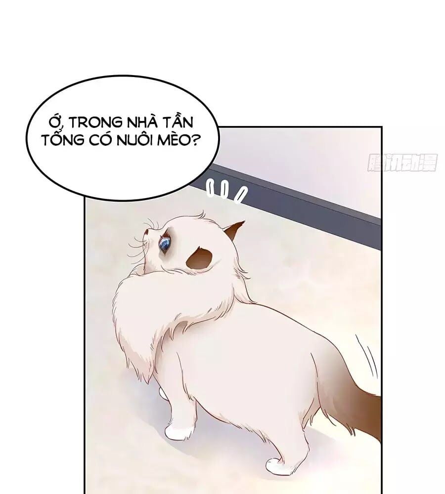 đọc truyện Hotboy Quốc Dân Là Nữ Chương 51 ảnh 37 tại Truyện Dạ Ký
