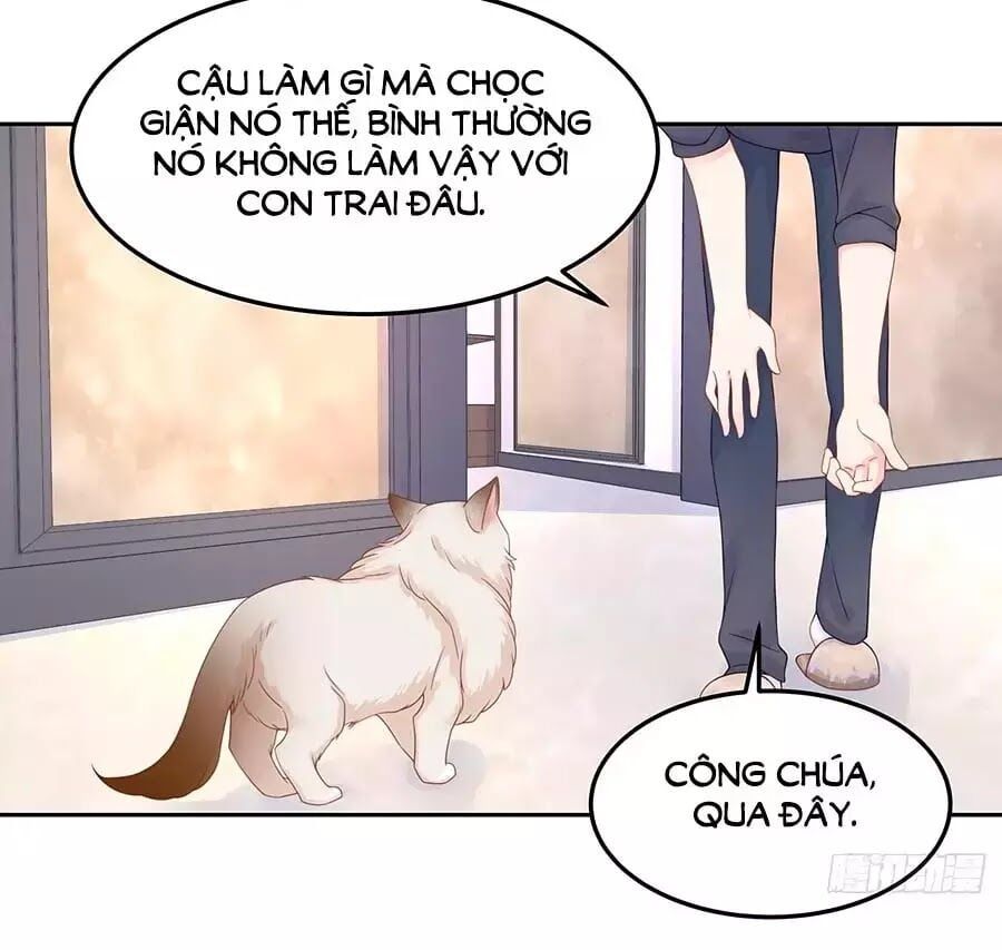 đọc truyện Hotboy Quốc Dân Là Nữ Chương 51 ảnh 48 tại Truyện Dạ Ký