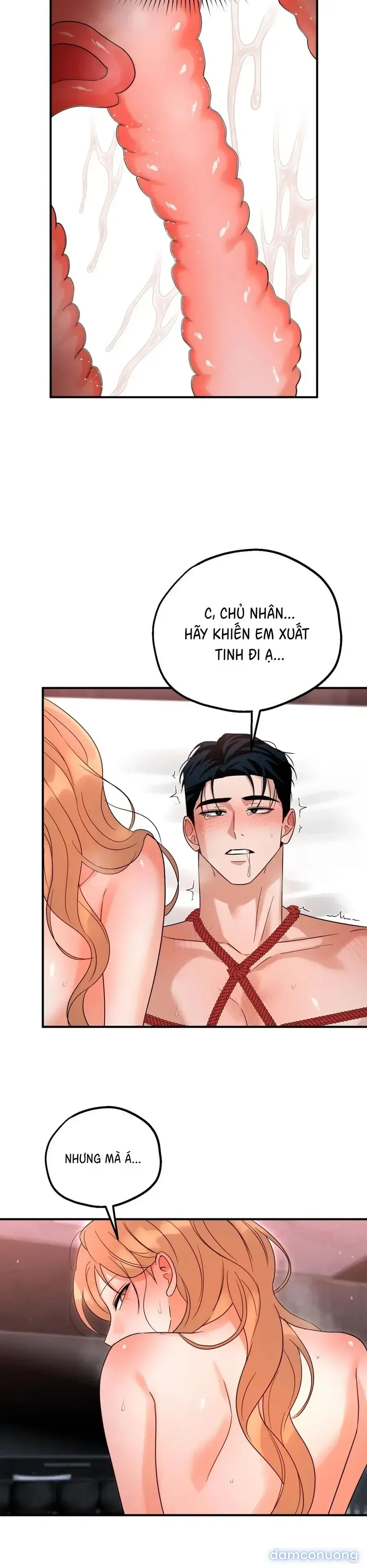 đọc truyện Huấn Luyện Viên Hai Hương Vị Chương 9.5 ảnh 29 tại Thiên Thai Truyện