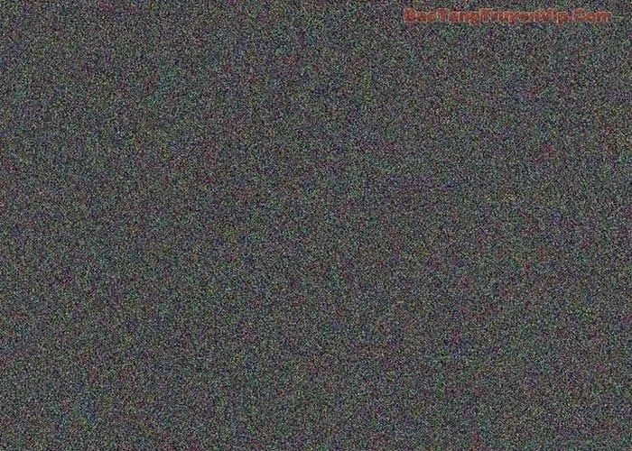 đọc truyện Huấn Luyện Viên Murim Thiên Tài Chương 85 ảnh 24 tại Thiên Thai Truyện