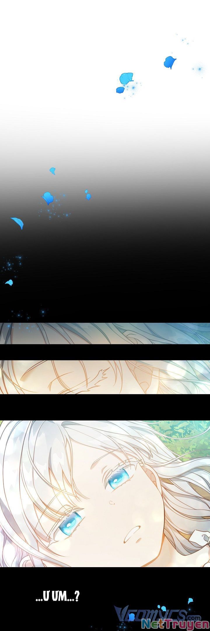 đọc truyện Hướng Về Ánh Dương Lần Nữa Chương 37 ảnh 3 tại Thiên Thai Truyện