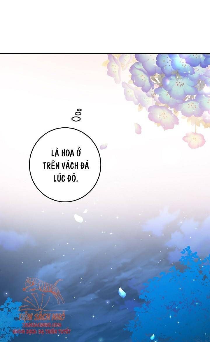 đọc truyện Hướng Về Ánh Dương Lần Nữa Chương 45 ảnh 58 tại Thiên Thai Truyện