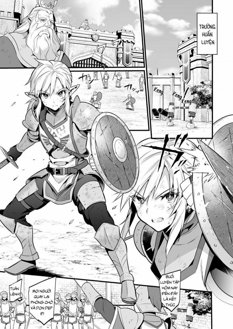 đọc truyện Huyền Thoại Của Zelda [hoàn] Chương 1 ảnh 4 tại Thiên Thai Truyện