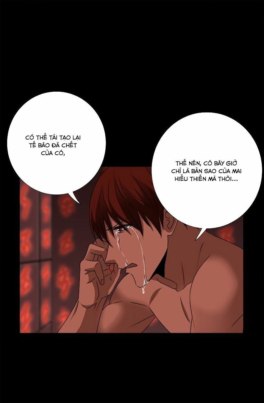 đọc truyện Huyết Ma Nhân Chương 244 ảnh 19 tại Thiên Thai Truyện