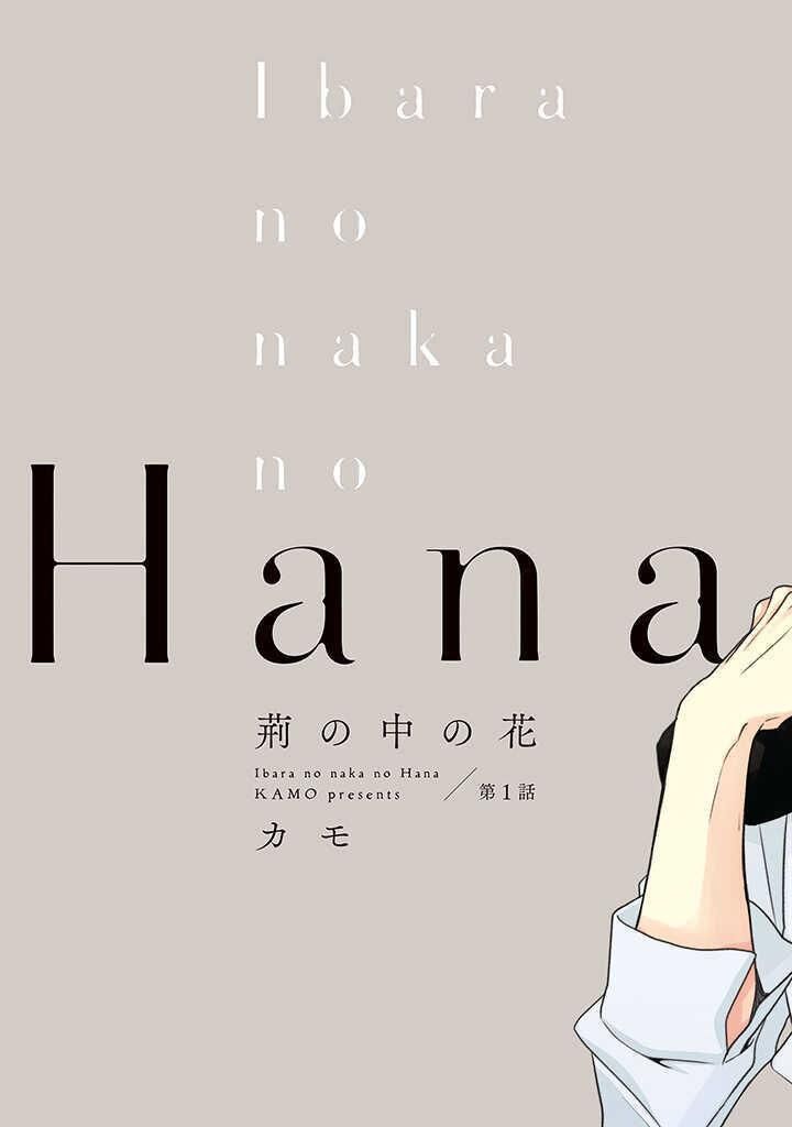 đọc truyện Ibara No Naka No Hana Chương 1 ảnh 4 tại Thiên Thai Truyện