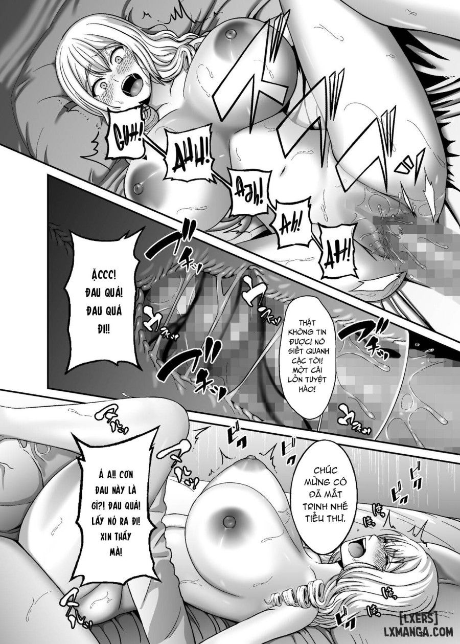 đọc truyện Ichiryuu No Lady Wa Seikoui No Gijutsu Mo Ichiryuu Denakute Wa Chương 0 ảnh 17 tại Thiên Thai Truyện