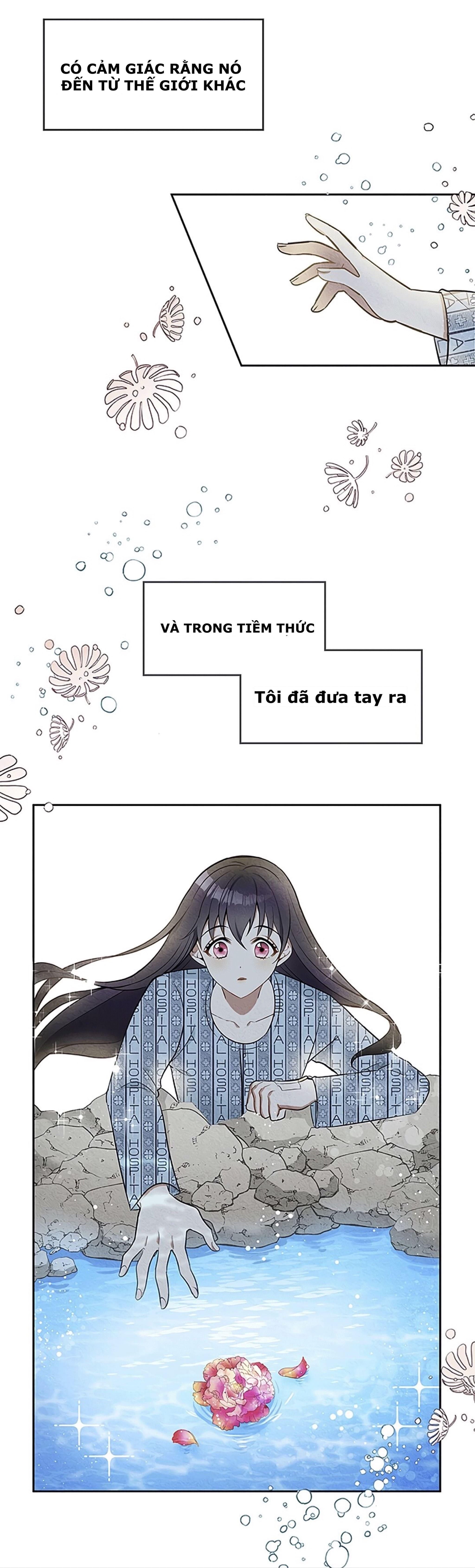 đọc truyện Jacheongbi Của Đế Chế Itan Chương 1 ảnh 39 tại Giả Dược