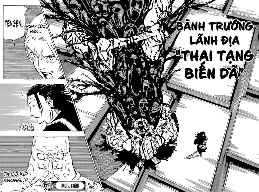 đọc truyện Jujutsu Kaisen - Chú Thuật Hồi Chiến Chương 205 ảnh 18 tại Truyện Dạ Ký