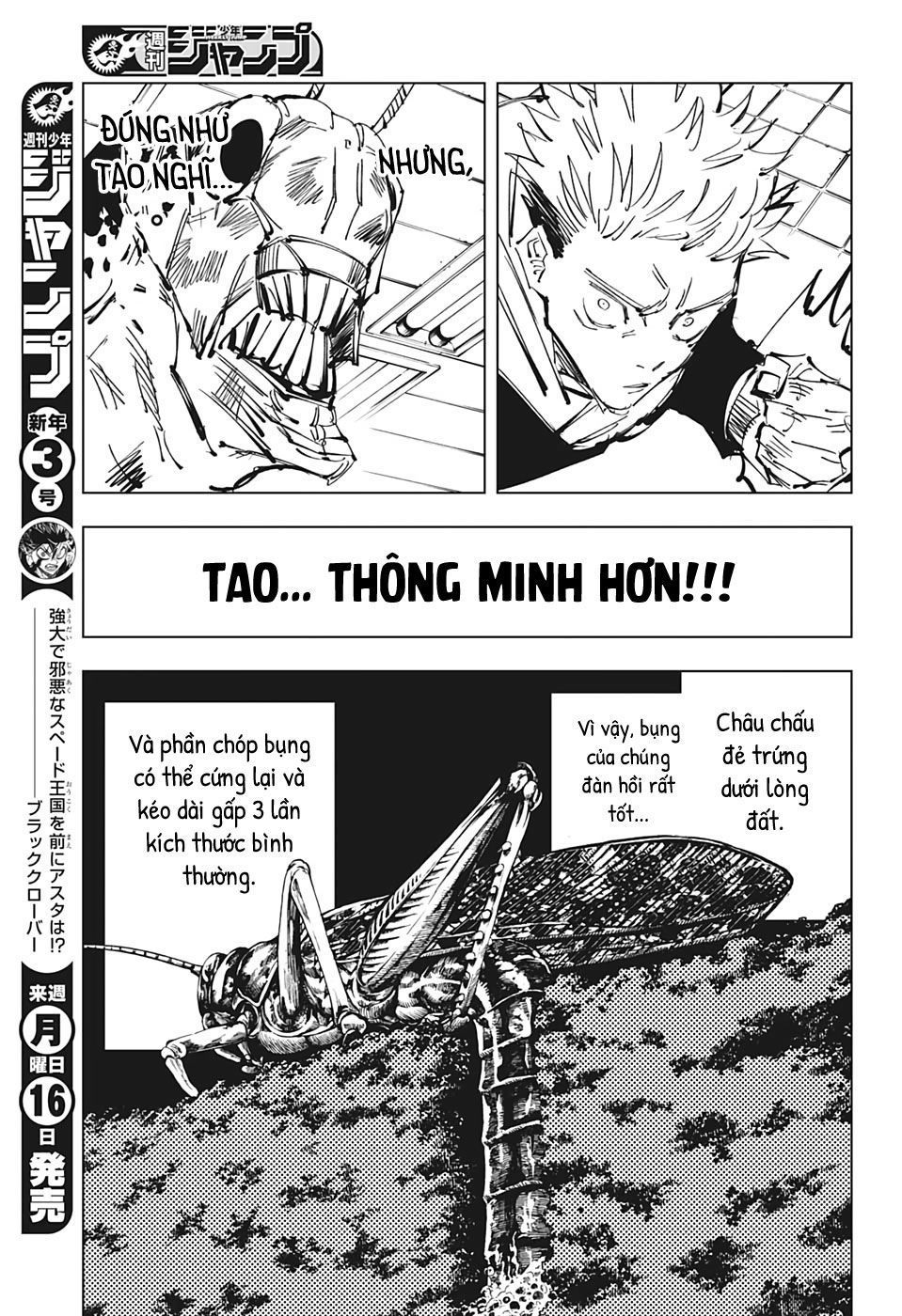 đọc truyện Jujutsu Kaisen - Chú Thuật Hồi Chiến Chương 87 ảnh 17 tại Truyện Dạ Ký