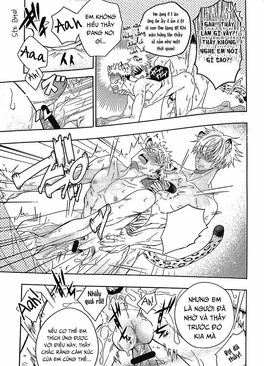 đọc truyện Jujutsu Kaisen Omegaverse Cat Chương 1 ảnh 16 tại Giả Dược