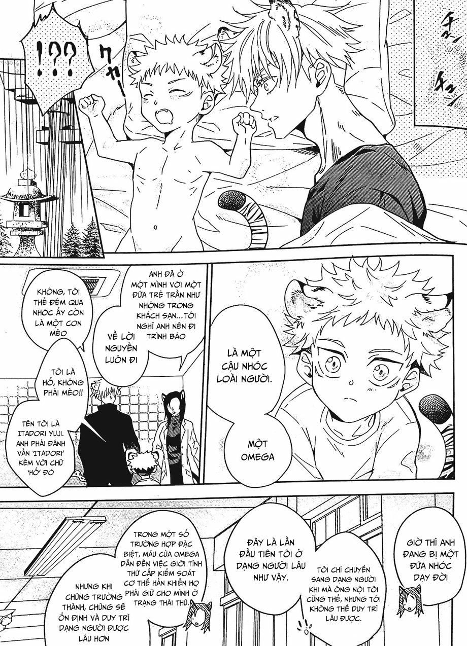đọc truyện Jujutsu Kaisen Omegaverse Cat Chương 1 ảnh 6 tại Giả Dược