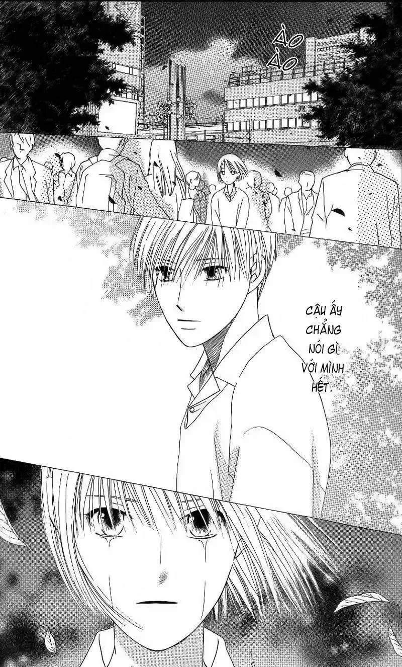 đọc truyện Kare Kano Chương 68 ảnh 11 tại Giả Dược