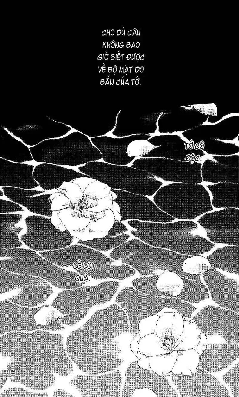 đọc truyện Kare Kano Chương 68 ảnh 37 tại Giả Dược