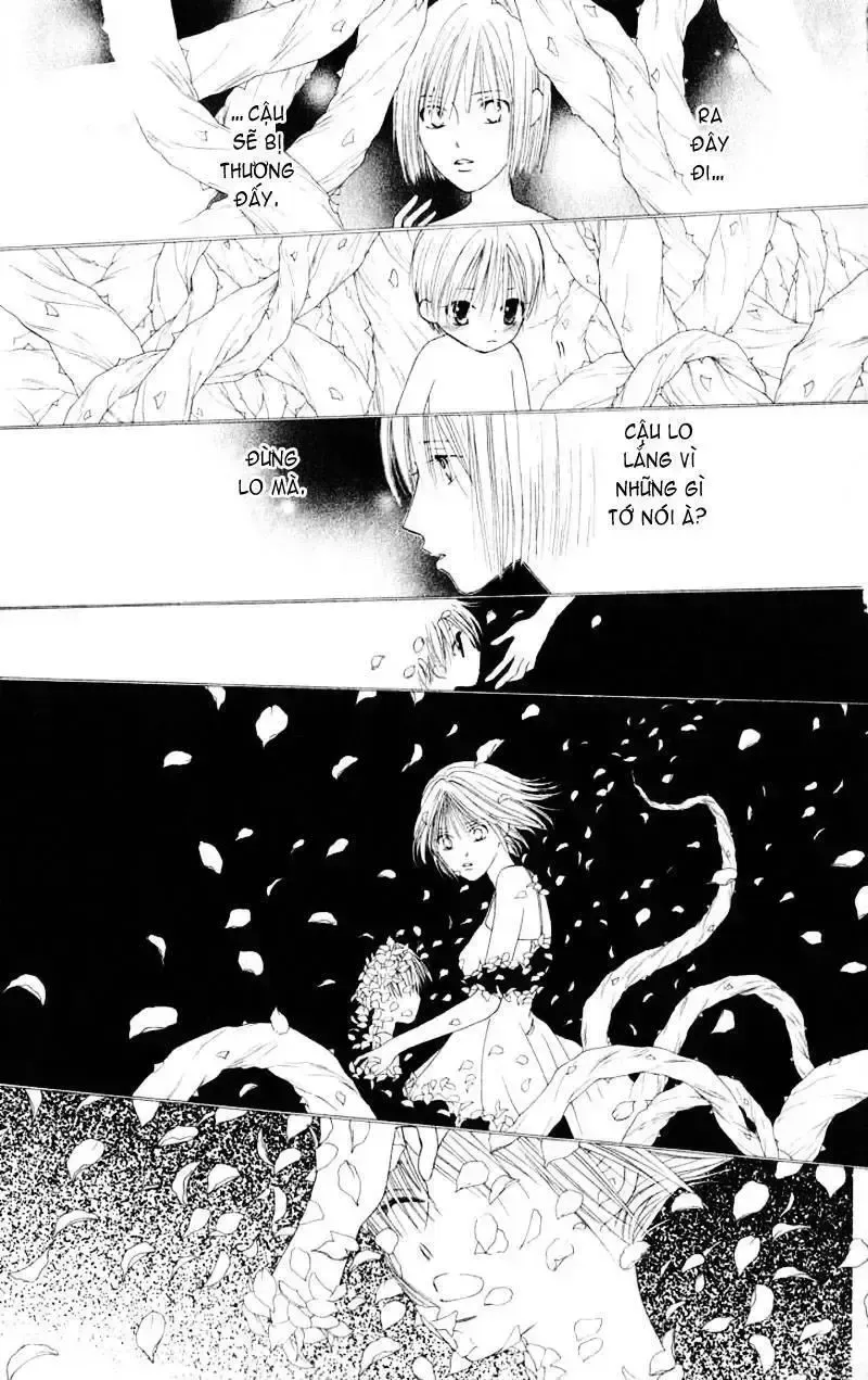 đọc truyện Kare Kano Chương 72 ảnh 29 tại Thiên Thai Truyện