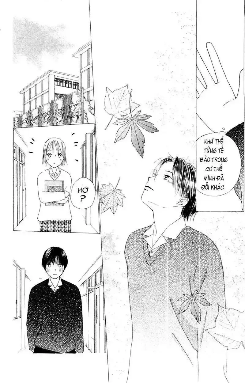 đọc truyện Kare Kano Chương 75 ảnh 33 tại Giả Dược