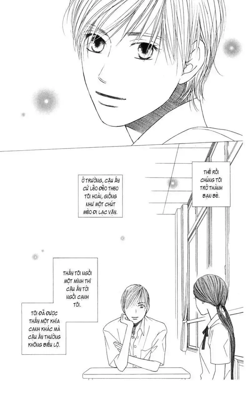 đọc truyện Kare Kano Chương 99 ảnh 10 tại Giả Dược
