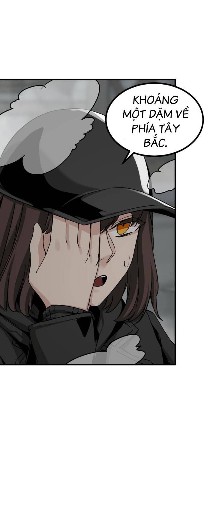 đọc truyện Kẻ Giết Anh Hùng Chương 140 ảnh 74 tại Thiên Thai Truyện