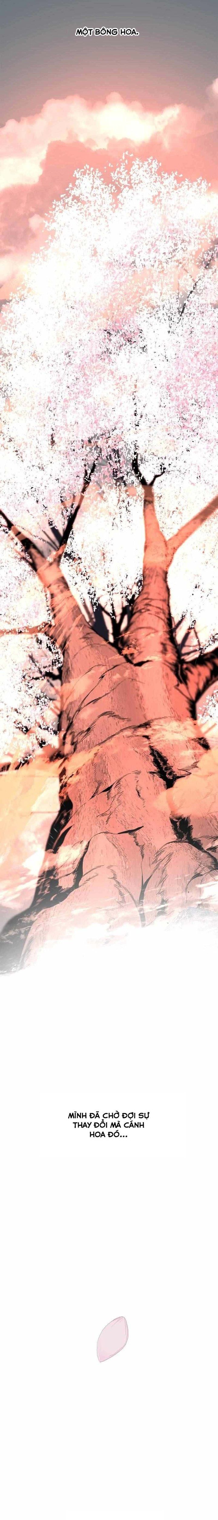 đọc truyện Kẻ Giết Anh Hùng Chương 163 ảnh 23 tại Thiên Thai Truyện