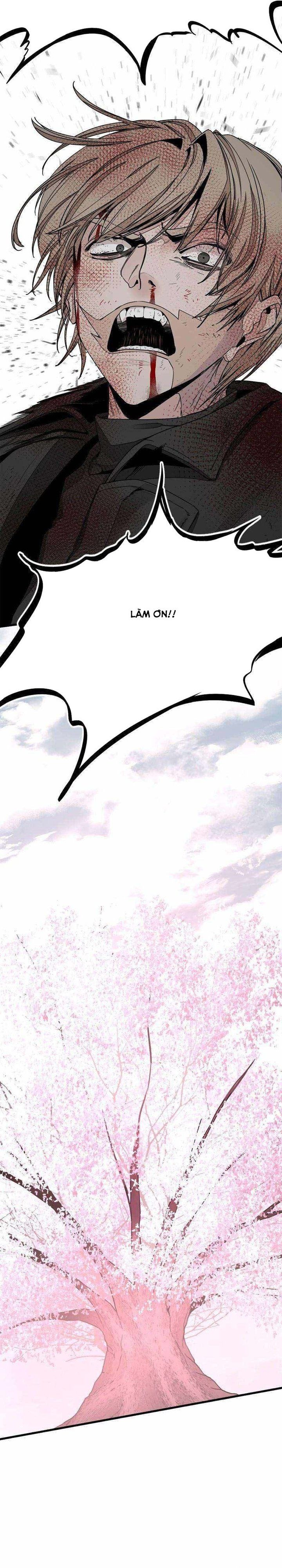 đọc truyện Kẻ Giết Anh Hùng Chương 164 ảnh 13 tại Thiên Thai Truyện