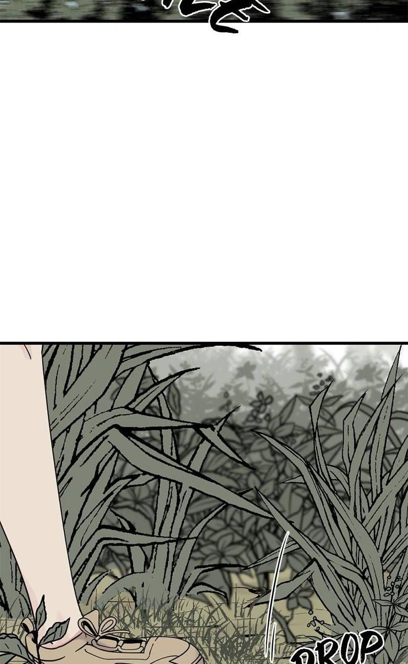 đọc truyện Kẻ Giết Anh Hùng Chương 44 ảnh 56 tại Thiên Thai Truyện