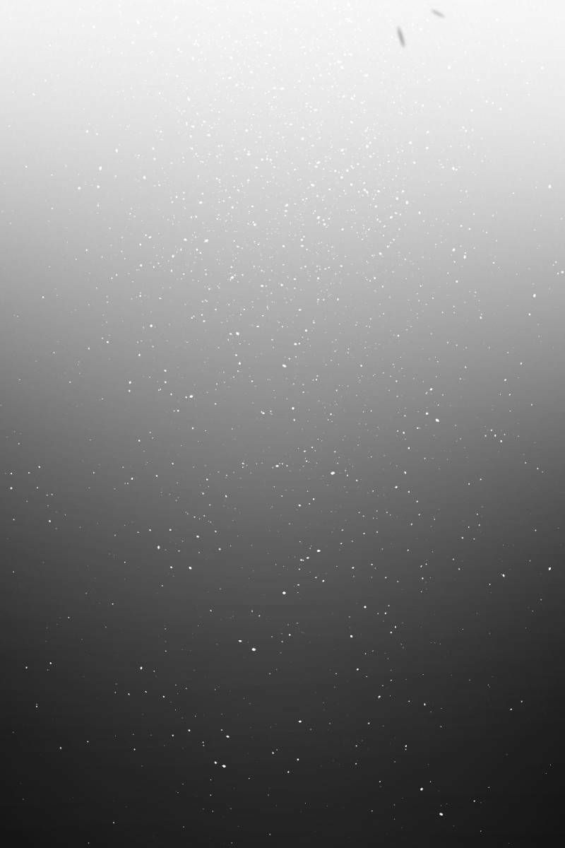 đọc truyện Kẻ Giết Anh Hùng Chương 78 ảnh 137 tại Thiên Thai Truyện