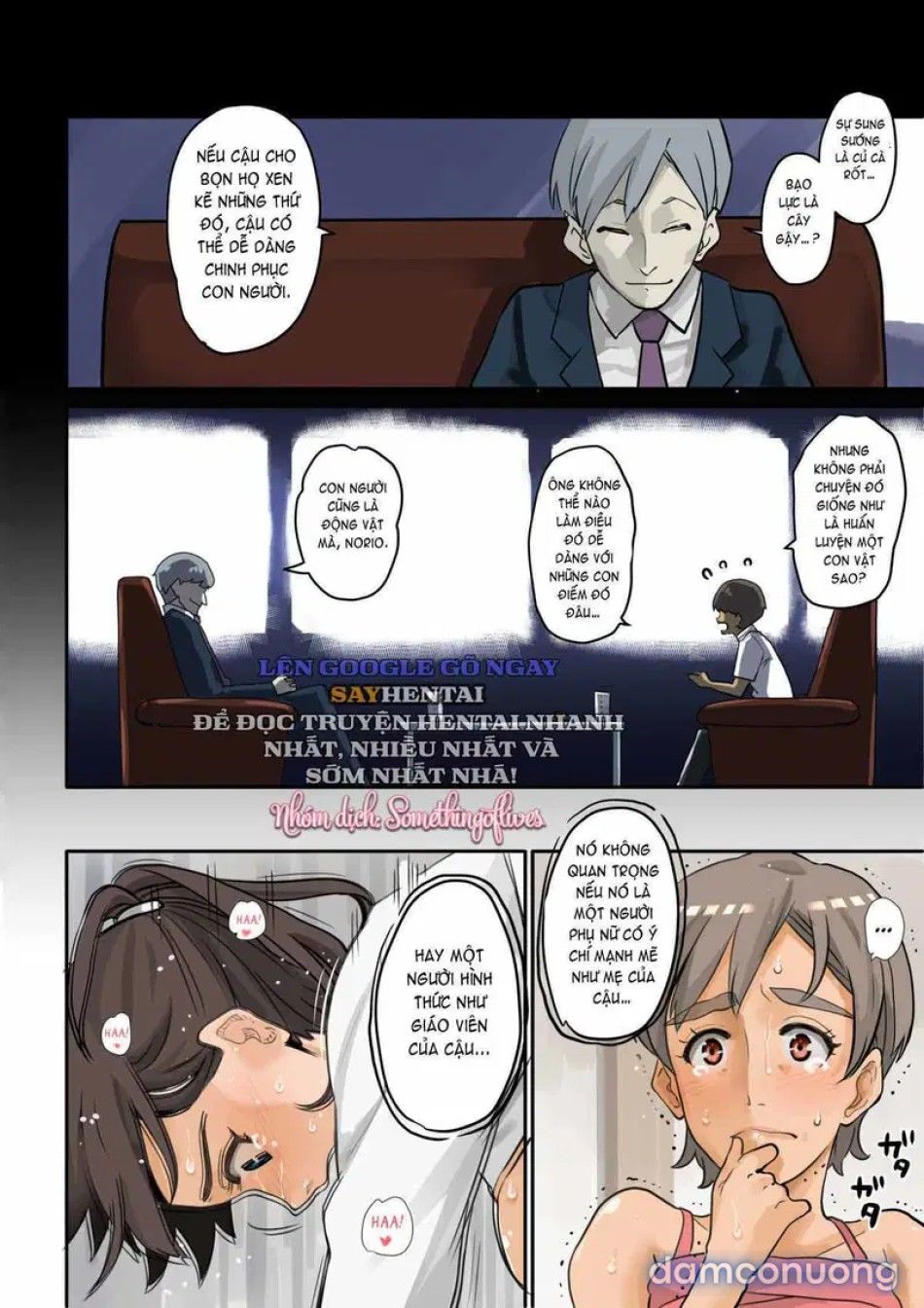 đọc truyện Kế Hoạch Báo Thù_ Gã Thiếu Niên U Ám Và Hậu Cung Huấn Luyện Chương 2 ảnh 13 tại Thiên Thai Truyện