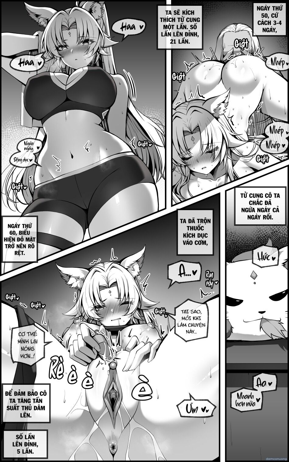 đọc truyện Kế Hoạch Huấn Luyện Tướng Quân Feixiao Chương 1 ảnh 12 tại Thiên Thai Truyện