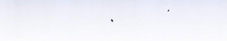 đọc truyện Kế Hoạch Kết Thúc Hoàn Hảo Của Ác Nữ Trong Truyện Cổ Tích Chương 30.5 ảnh 129 tại Thiên Thai Truyện