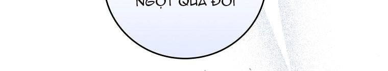 đọc truyện Kế Hoạch Kết Thúc Hoàn Hảo Của Ác Nữ Trong Truyện Cổ Tích Chương 30.5 ảnh 19 tại Thiên Thai Truyện