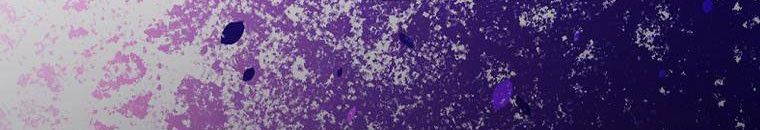 đọc truyện Kế Hoạch Kết Thúc Hoàn Hảo Của Ác Nữ Trong Truyện Cổ Tích Chương 30.5 ảnh 196 tại Thiên Thai Truyện