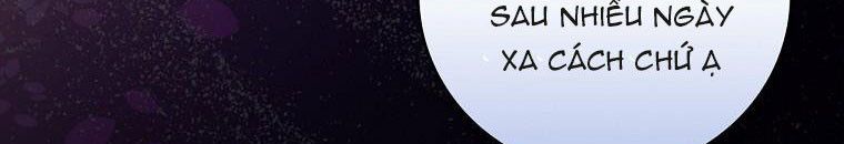 đọc truyện Kế Hoạch Kết Thúc Hoàn Hảo Của Ác Nữ Trong Truyện Cổ Tích Chương 30.5 ảnh 201 tại Thiên Thai Truyện