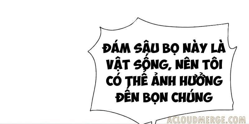 đọc truyện Kẻ Tàn Nhẫn Ngày Tận Thế: Bắt Đầu Dự Trữ Hàng Tỷ Tấn Vật Tư Chương 75 ảnh 127 tại Thiên Thai Truyện