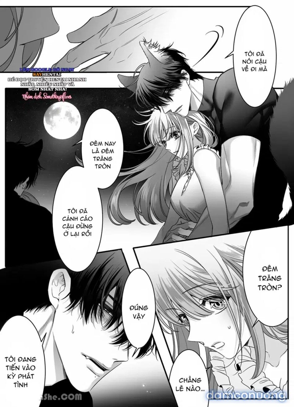 đọc truyện Kẻ Thù Thời Thơ Ấu Của Tôi Hóa Ra Lại Là Người Sói_ Chương 2 ảnh 15 tại Thiên Thai Truyện