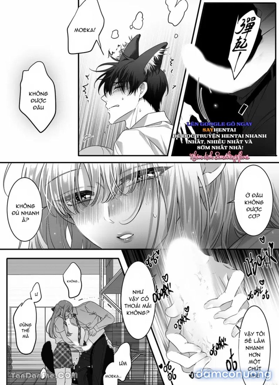 đọc truyện Kẻ Thù Thời Thơ Ấu Của Tôi Hóa Ra Lại Là Người Sói_ Chương 4 ảnh 9 tại Thiên Thai Truyện