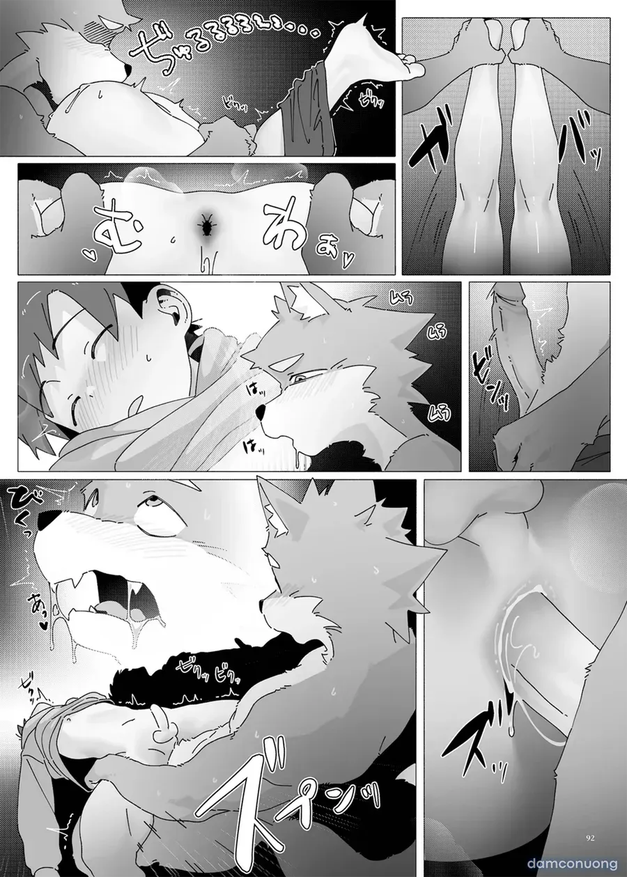 đọc truyện Kemoshonen Vol. 2 Chương 9 ảnh 9 tại Thiên Thai Truyện