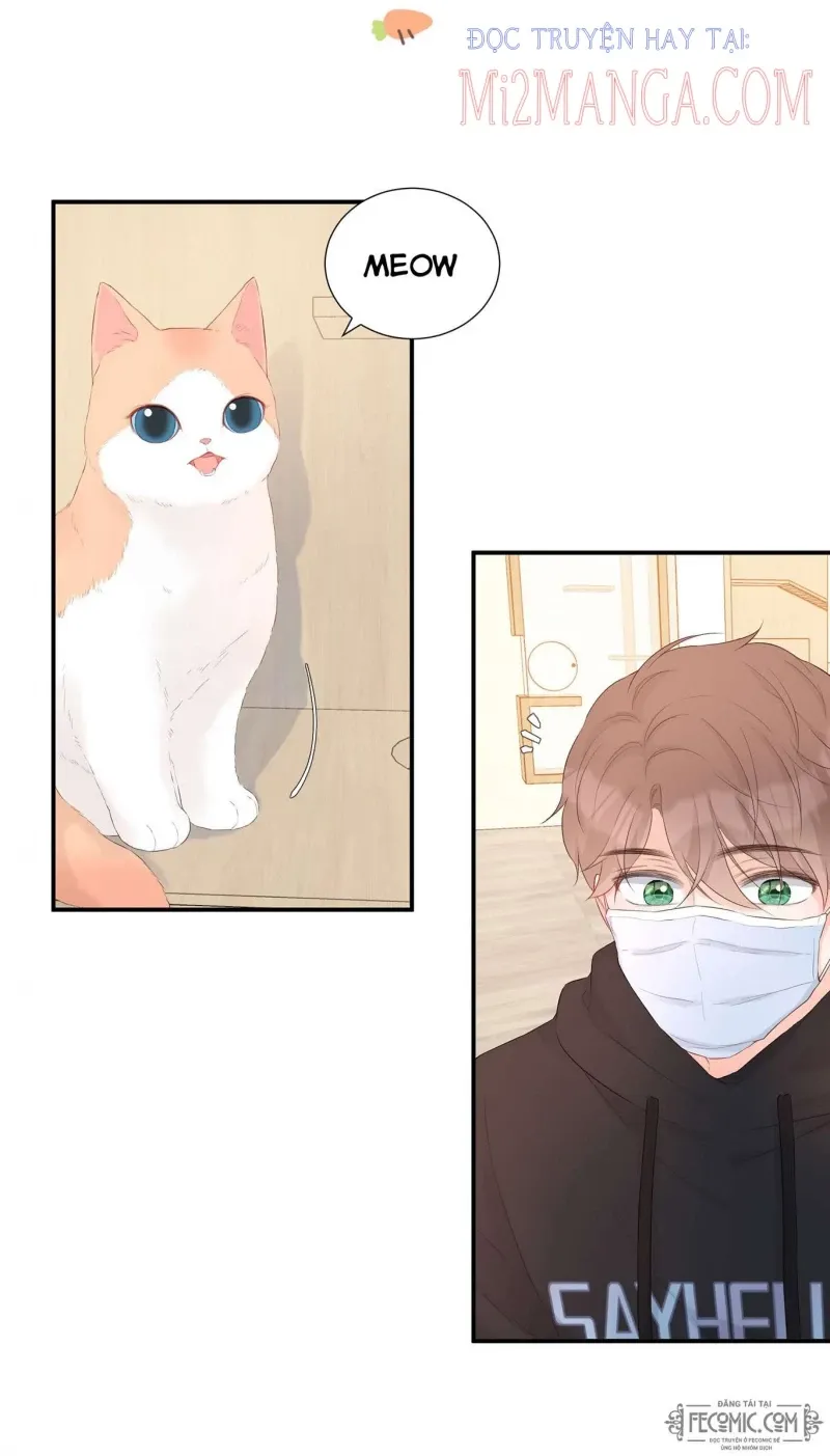 đọc truyện Khế Ước Tình Yêu: Tuyệt Đối Không Thể Phim Giả Tình Thật Chương 25 ảnh 17 tại Thiên Thai Truyện