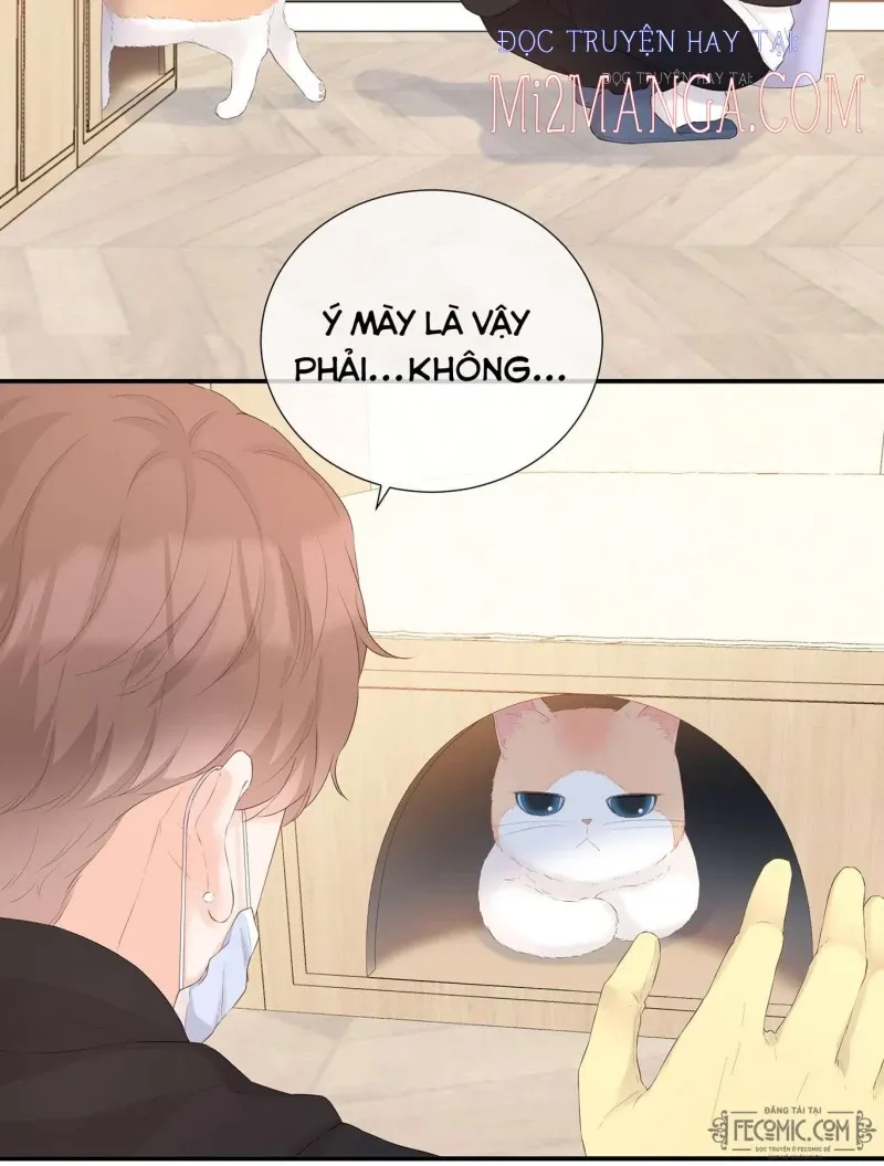 đọc truyện Khế Ước Tình Yêu: Tuyệt Đối Không Thể Phim Giả Tình Thật Chương 25 ảnh 19 tại Thiên Thai Truyện