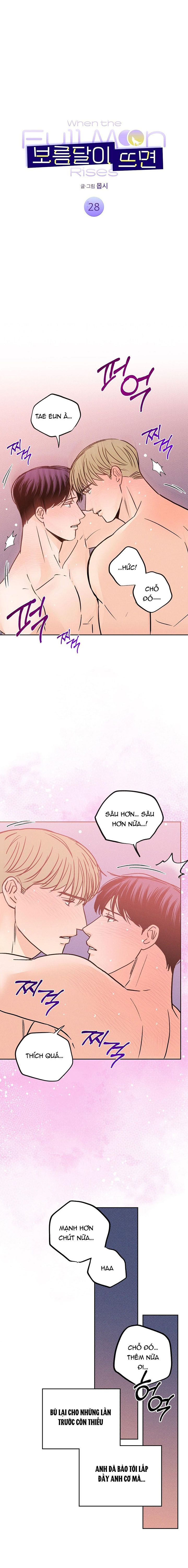 đọc truyện Khi Đêm Trăng Tròn Chương 28 ảnh 2 tại Thiên Thai Truyện