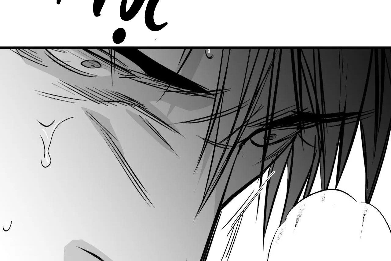 đọc truyện Khi Đôi Chân Thôi Bước Chương 100.5 ảnh 229 tại Thiên Thai Truyện