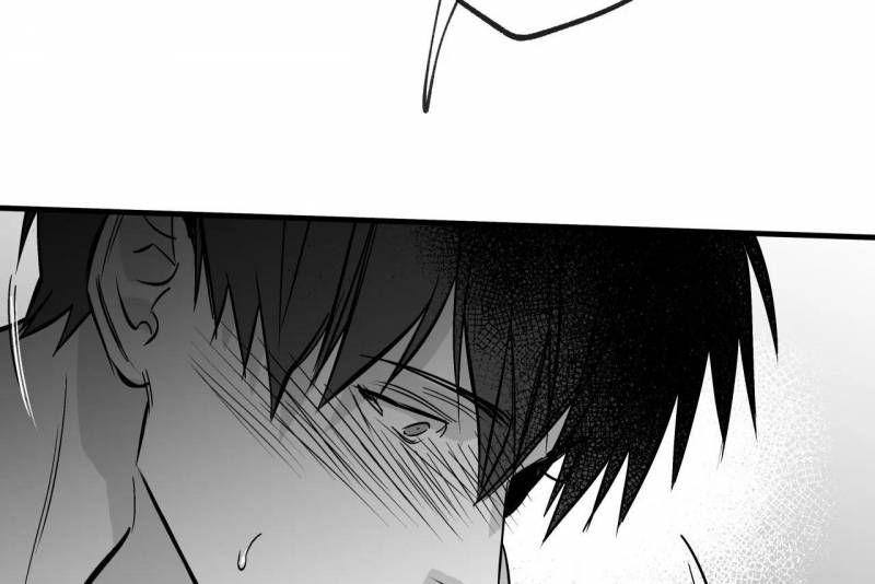 đọc truyện Khi Đôi Chân Thôi Bước Chương 100 ảnh 152 tại Thiên Thai Truyện