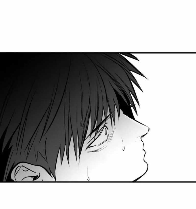 đọc truyện Khi Đôi Chân Thôi Bước Chương 105.2 ảnh 27 tại Thiên Thai Truyện