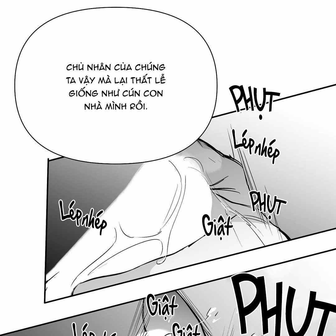 đọc truyện Khi Đôi Chân Thôi Bước Chương 48 ảnh 15 tại Thiên Thai Truyện