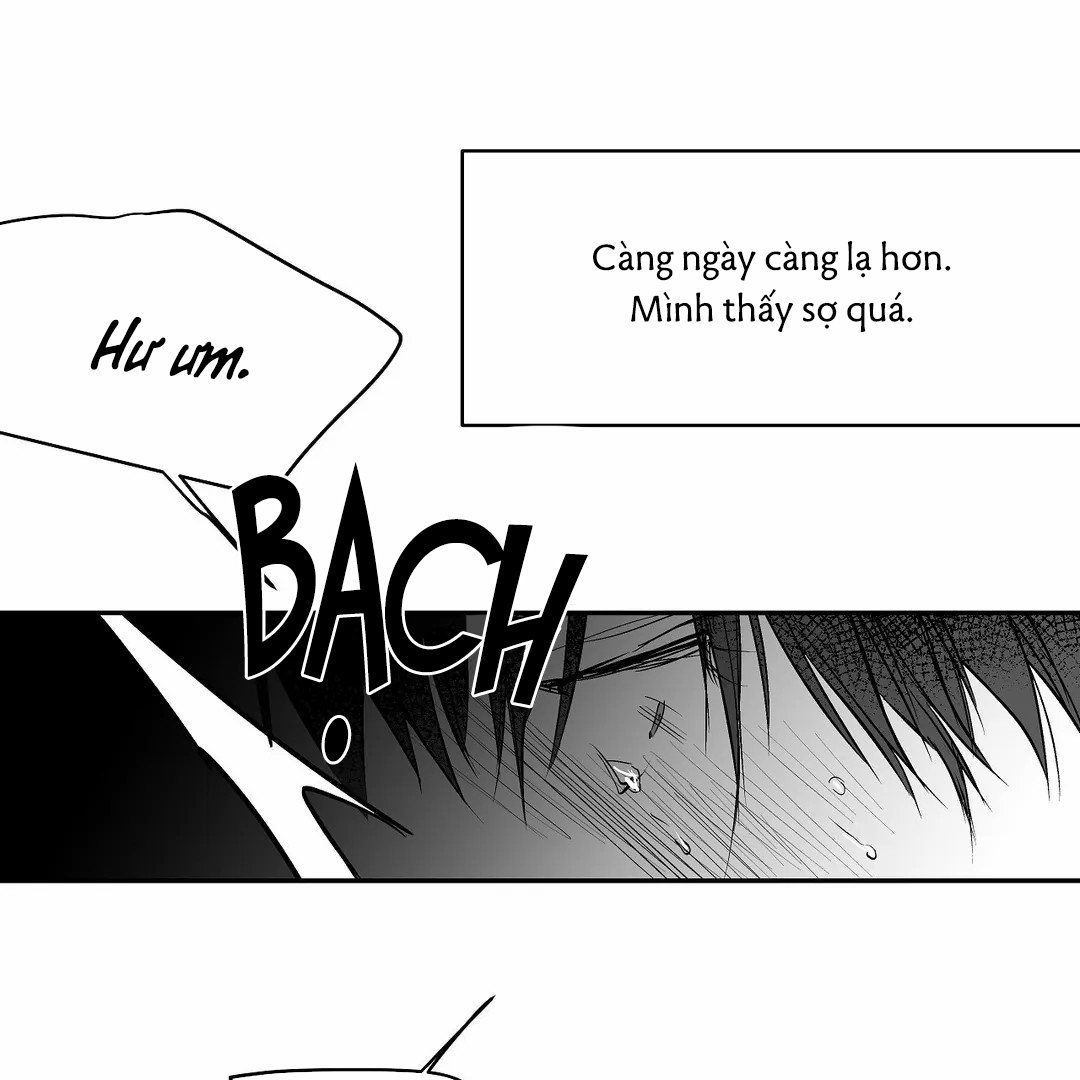 đọc truyện Khi Đôi Chân Thôi Bước Chương 48 ảnh 22 tại Thiên Thai Truyện