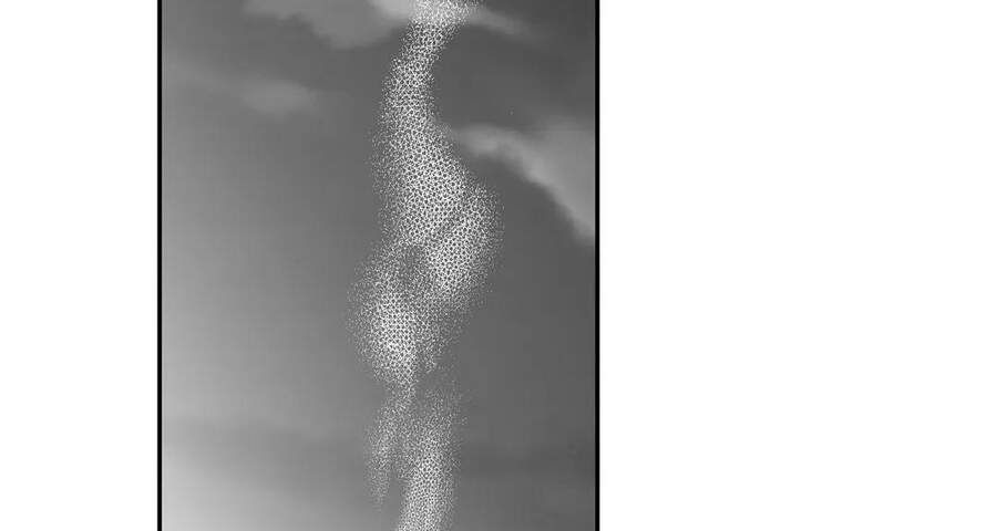 đọc truyện Khi Đôi Chân Thôi Bước Chương 49 ảnh 81 tại Thiên Thai Truyện