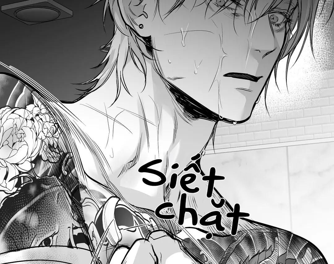 đọc truyện Khi Đôi Chân Thôi Bước Chương 51 ảnh 133 tại Thiên Thai Truyện