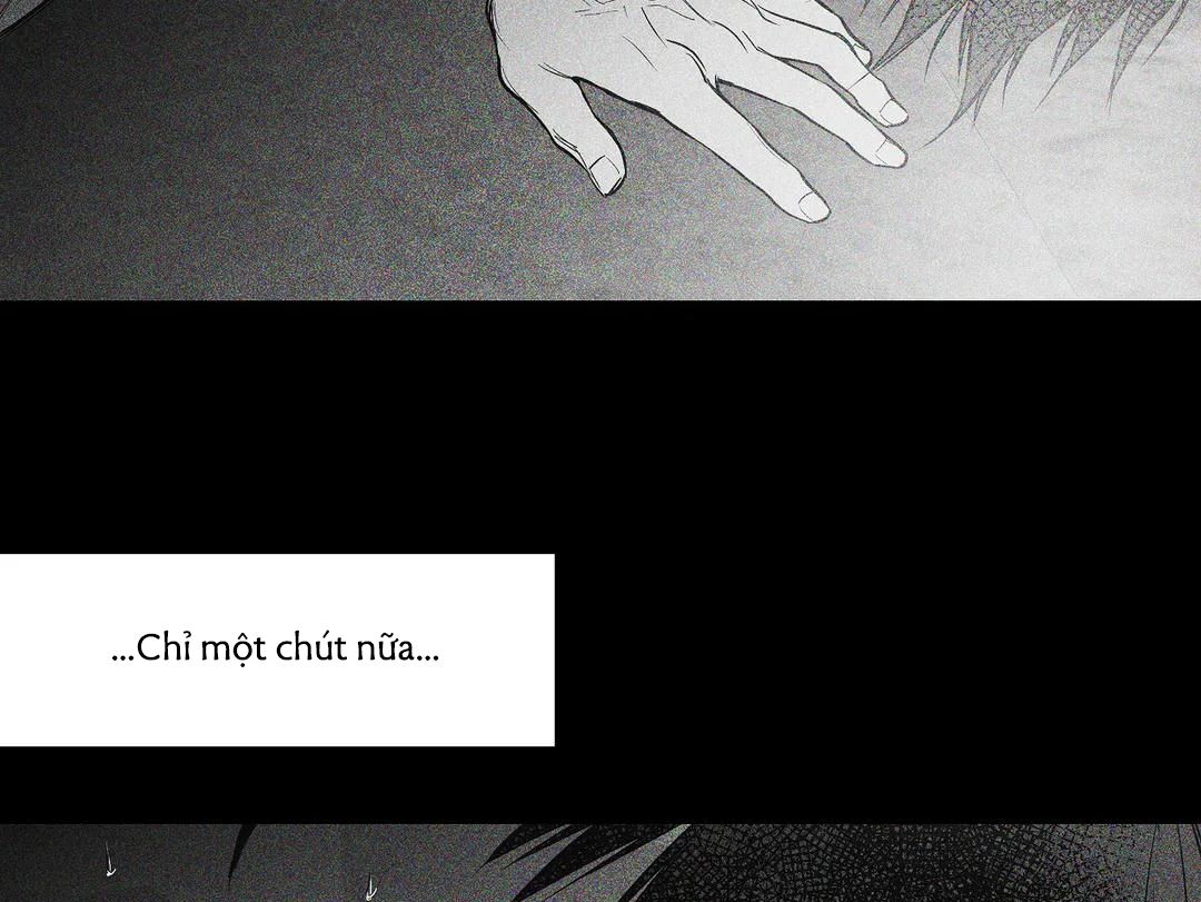 đọc truyện Khi Đôi Chân Thôi Bước Chương 53 ảnh 174 tại Thiên Thai Truyện