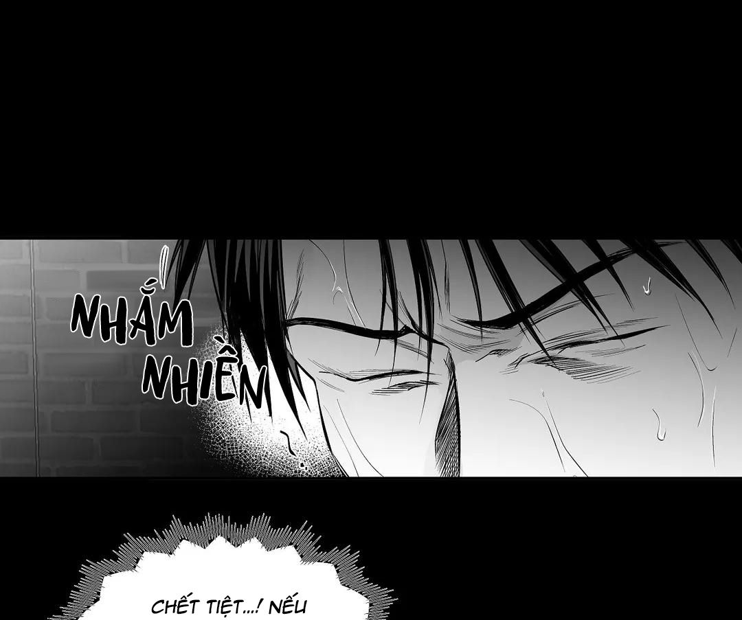 đọc truyện Khi Đôi Chân Thôi Bước Chương 53 ảnh 24 tại Thiên Thai Truyện