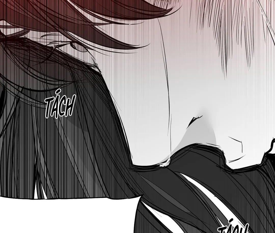 đọc truyện Khi Đôi Chân Thôi Bước Chương 58 ảnh 101 tại Thiên Thai Truyện